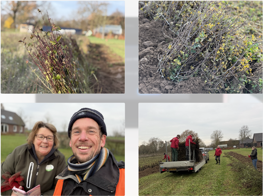 10.000 plantjes ingekuild!