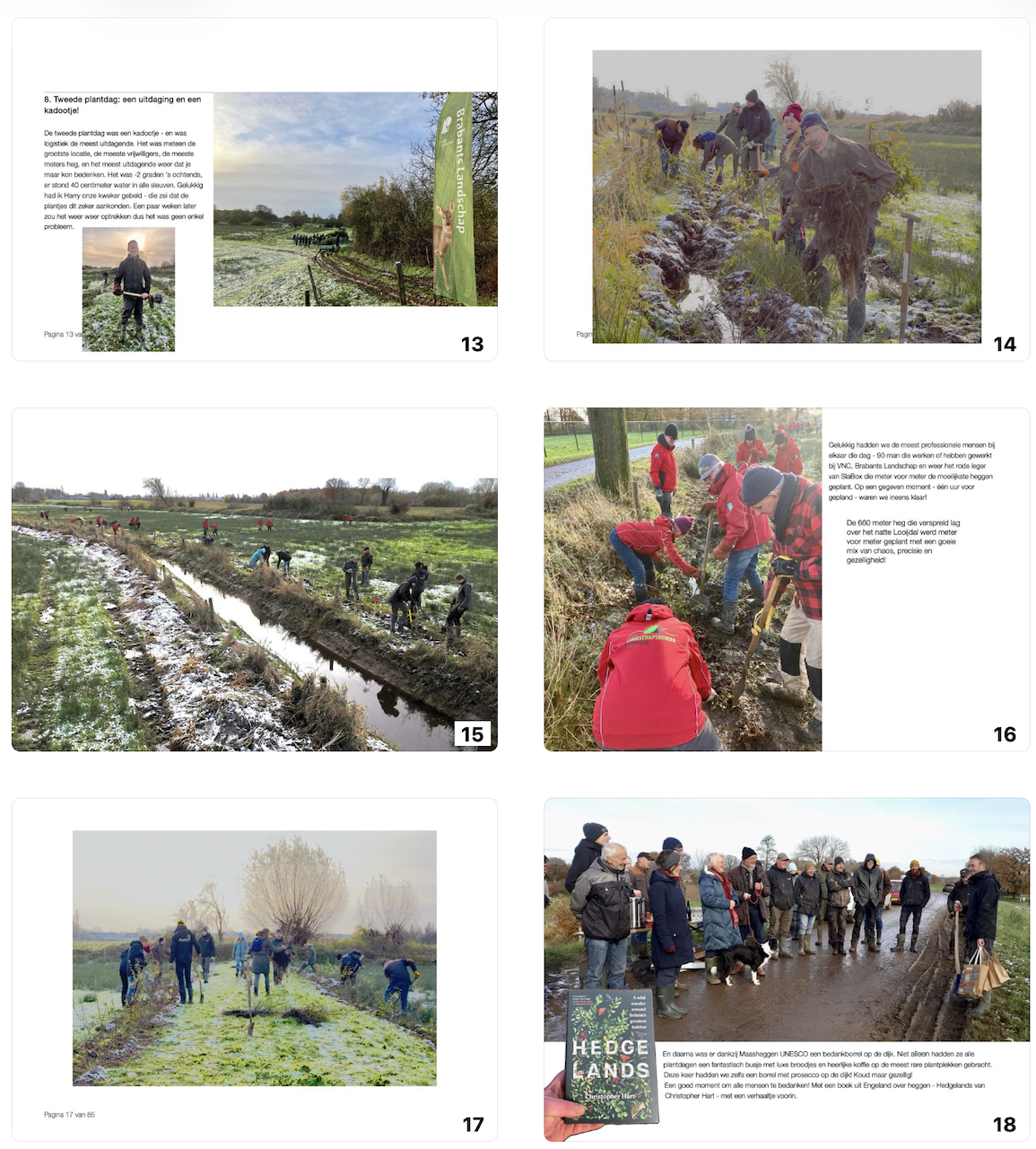 Maasheggen Mooi gratis in Apple Boeken